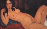 Amedeo Modigliani Reclining Nude with Loose Hair (mk38) France oil painting artist